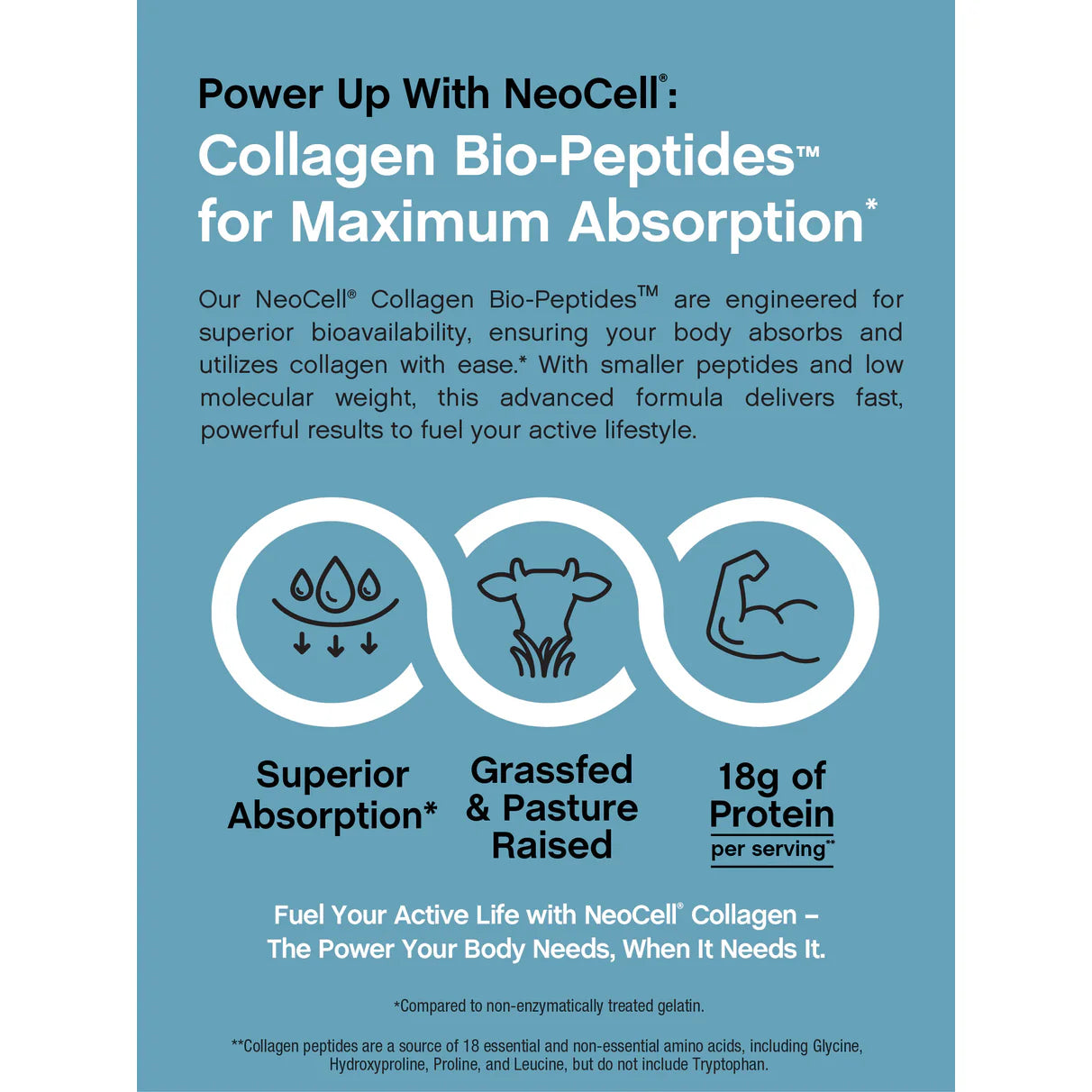 Collagen Bio-Peptides Grassfed, 20 oz (567 g) Powder